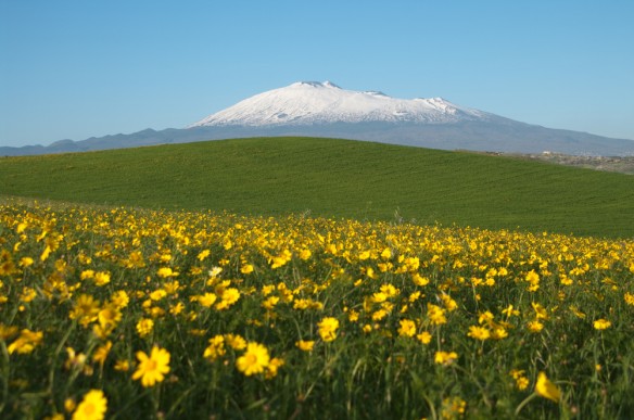 Mt Etna