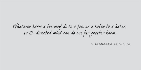 “Whatever harm a foe may do to a foe, or a hater to a hater, an ill-directed mind can do one far greater harm.”  Dhammapada Sutta